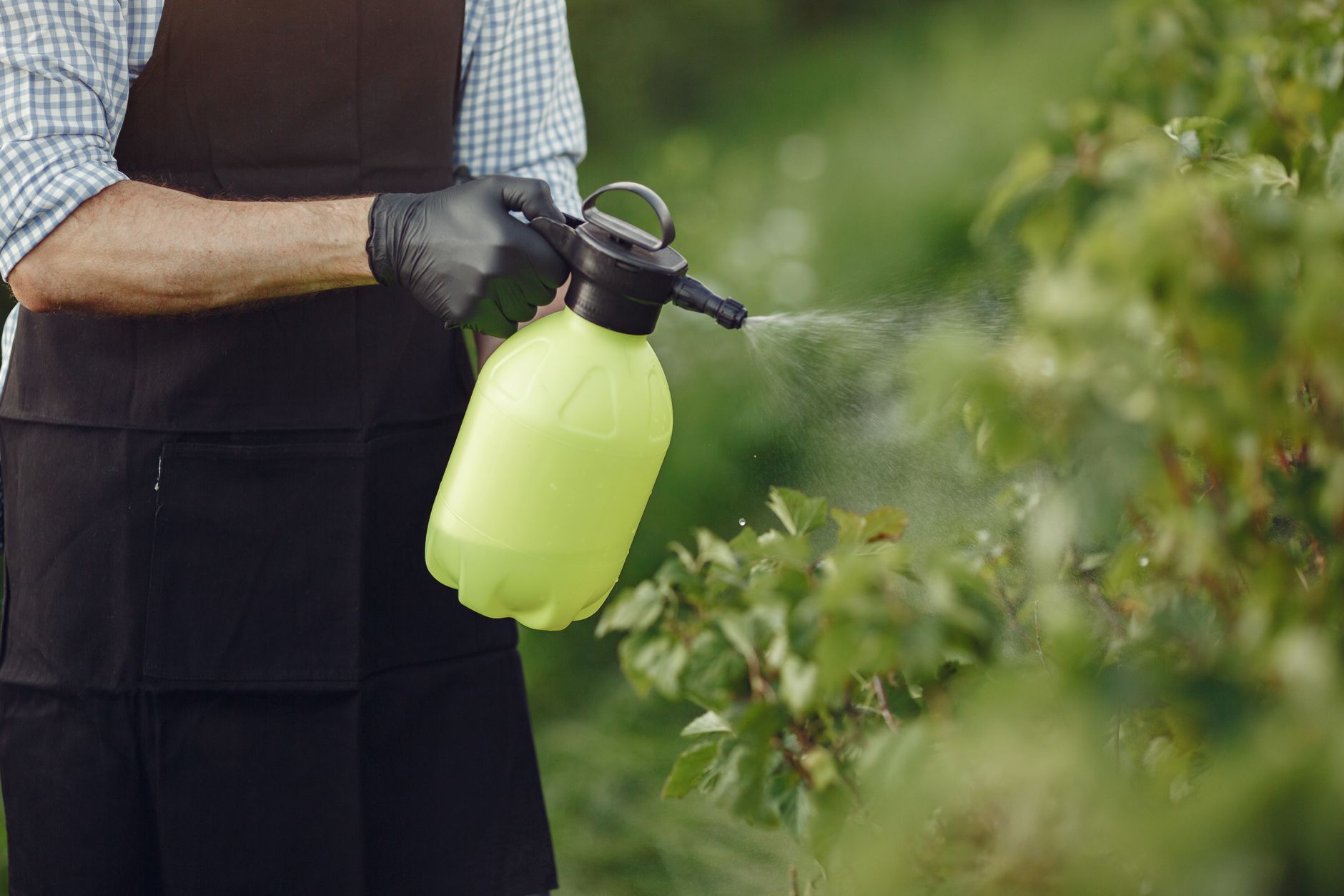 Prípravok proti múčnatke 500 ml